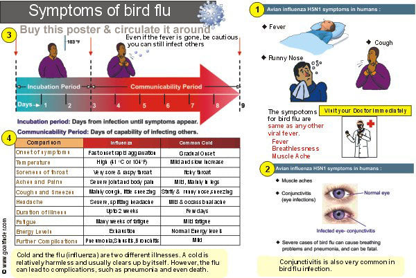 Treating Cold Symptoms: Strategies for Relief