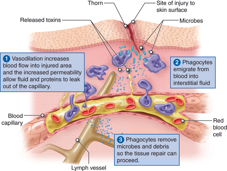 Reduce Inflammation with Ice Water Treatment for Enhanced Well-being
