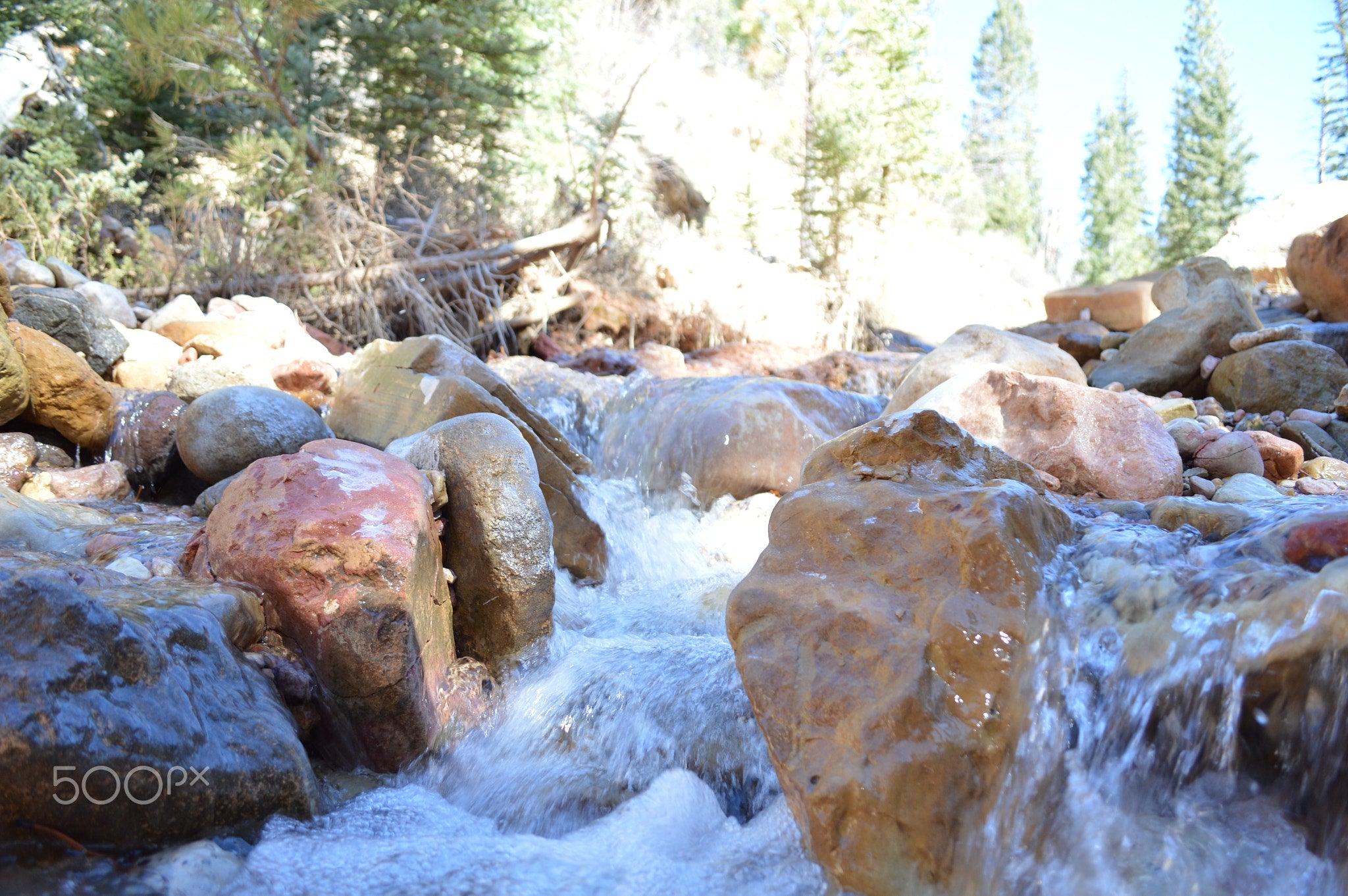 The Art of Taking Cold Baths: Techniques for Recovery - Fitness Fuse