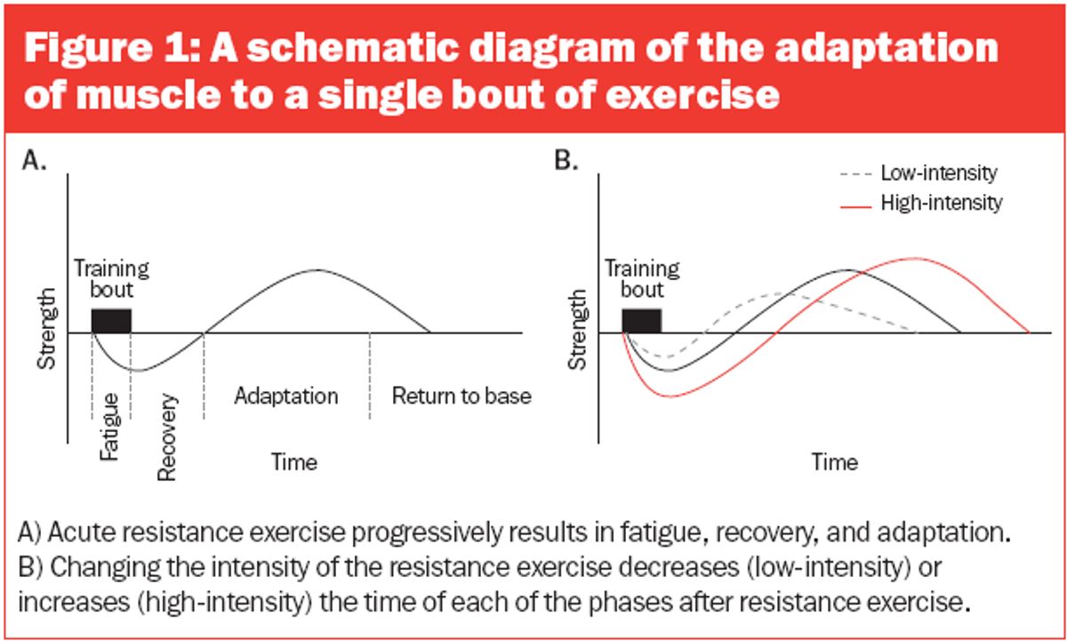 The Best Strategies for Enhancing Muscle Recovery After Workouts